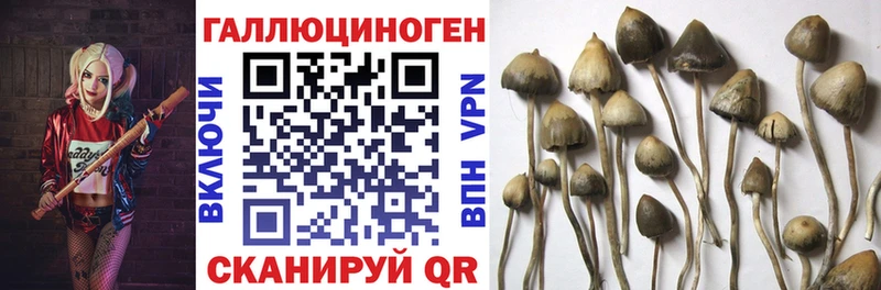 Псилоцибиновые грибы мухоморы  Мытищи 