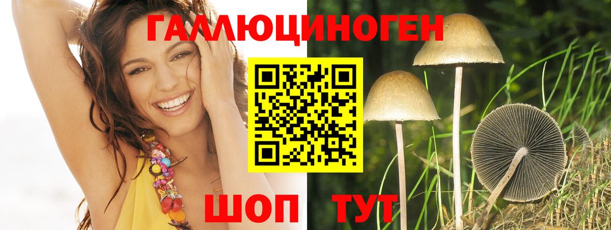 Псилоцибиновые грибы MAGIC MUSHROOMS  Вход с VPN  Галлюциногенные грибы прущие грибы  Мытищи 